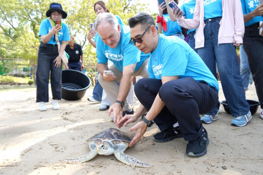 Super Turtle Public Company Limited Continues Supporting Sea Turtle ...